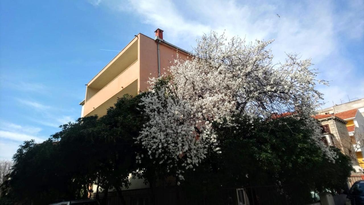 Split Symphony Veranda: Modern, New Apartment Exterior foto